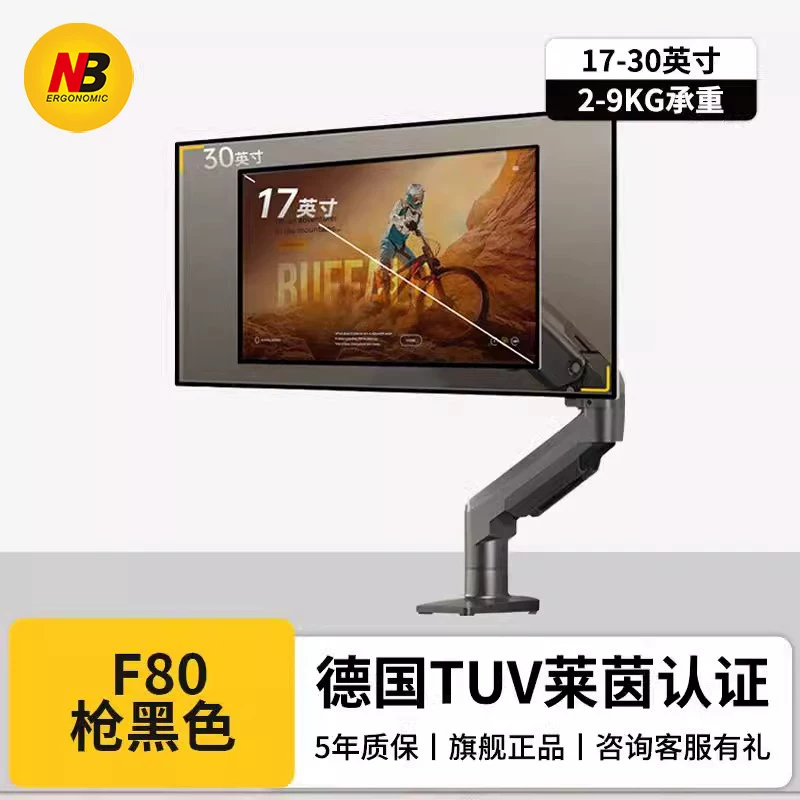 Monitor Mount