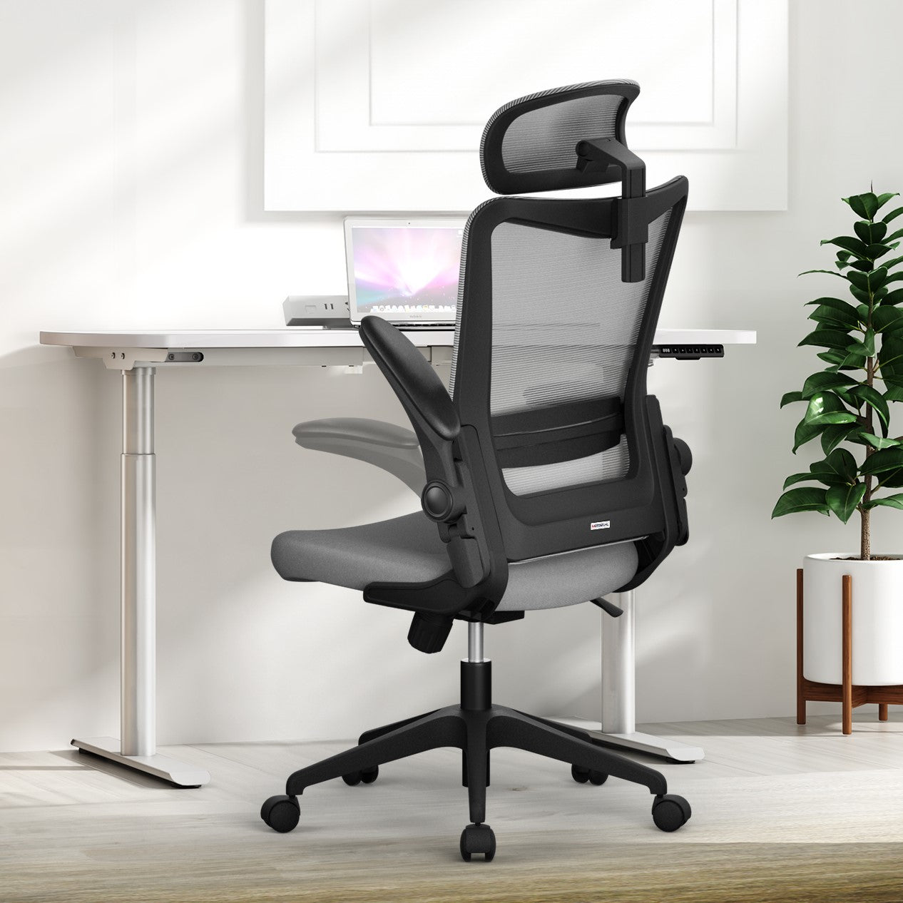 Bajijian C6 in reclined position